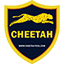 Нет непрочитанных сообщений